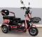 Электроскутер E-TRIKE TRANSFORMER PRO 2+1 650w